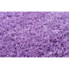 Alessia_0052_Layer-10