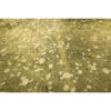 Bionda_0029_Layer-12