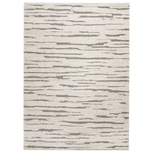 Trumpo Plauko Kilimas Snowy Zebra